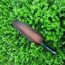 Facas Artesanal, Faca Inox, Faca de Churrasco, Faca Para Churrasco, Picanheira Aço Inox, Faca de Churrasco, Faca Para Churrasco, Presente Churrasco, Kit Churrasco para kit Faca Churrasco, kit Churrasco para Presente, kit churrasco, kit Garfo e Faca Inox, kit Garfo e Faca,